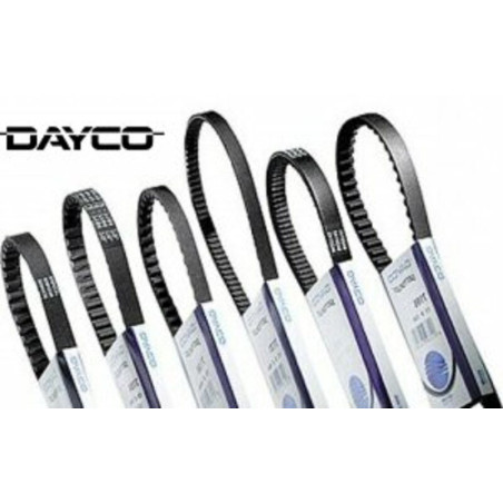 Correa DAYCO