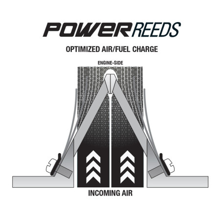 Láminas de recambio BOYESEN Power Reeds