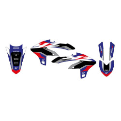 Kit adhesivos BLACKBIRD Dream Graphic 5
