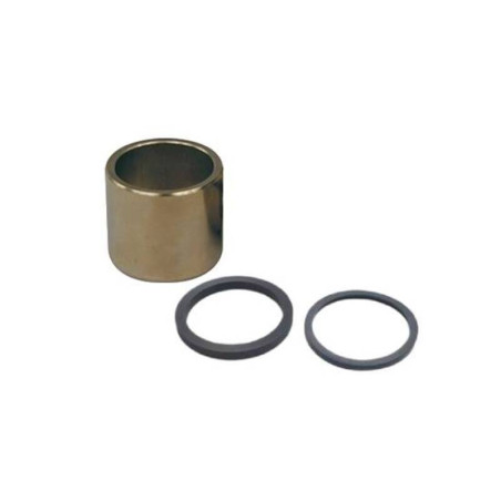 Kit de reparación pinza de freno trasera NISSIN