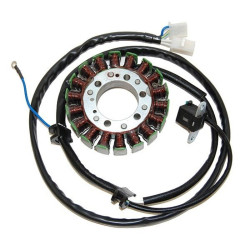 Estátor ELECTROSPORT