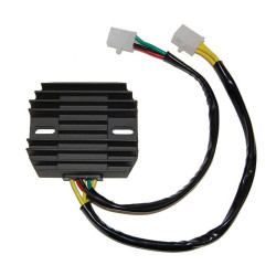 Regulador ELECTROSPORT