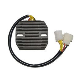 Regulador ELECTROSPORT