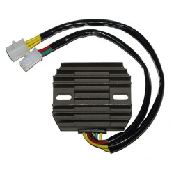 Regulador ELECTROSPORT