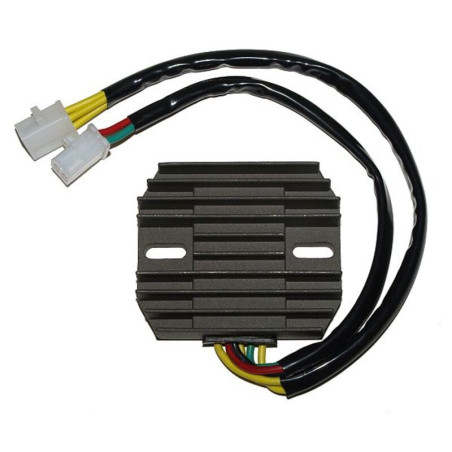 Regulador ELECTROSPORT