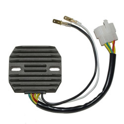Regulador ELECTROSPORT