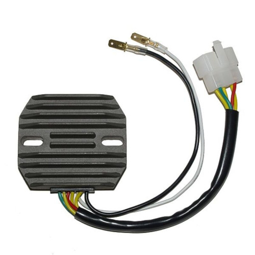 Regulador ELECTROSPORT