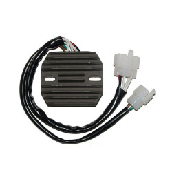Regulador ELECTROSPORT