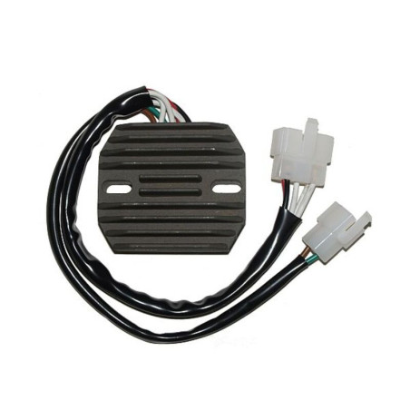 Regulador ELECTROSPORT
