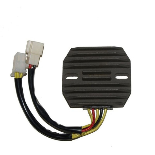 Regulador ELECTROSPORT
