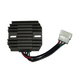 Regulador ELECTROSPORT