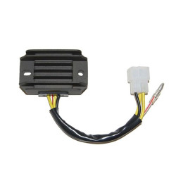 Regulador ELECTROSPORT