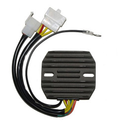 Regulador ELECTROSPORT
