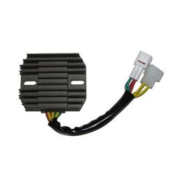 Regulador ELECTROSPORT