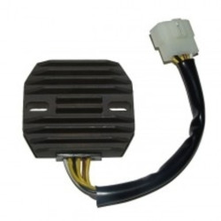 Regulador ELECTROSPORT