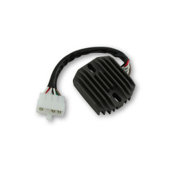 Regulador ELECTROSPORT