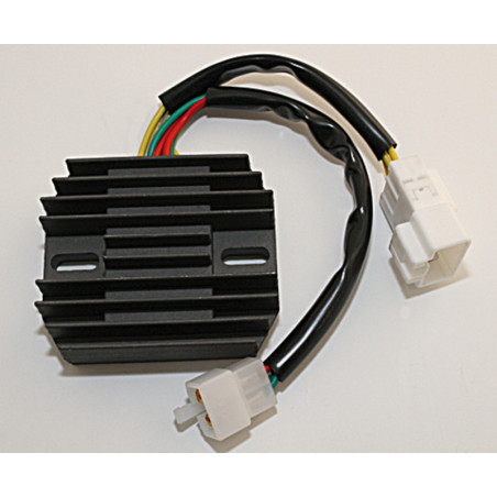 Regulador ELECTROSPORT