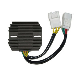 Regulador ELECTROSPORT
