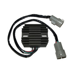 Regulador ELECTROSPORT