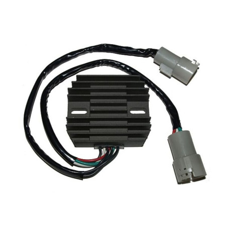 Regulador ELECTROSPORT