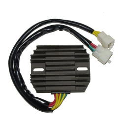 Regulador ELECTROSPORT