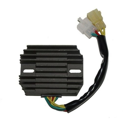 Regulador ELECTROSPORT