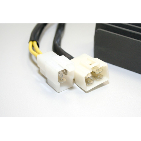 Regulador ELECTROSPORT