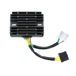 Regulador ELECTROSPORT
