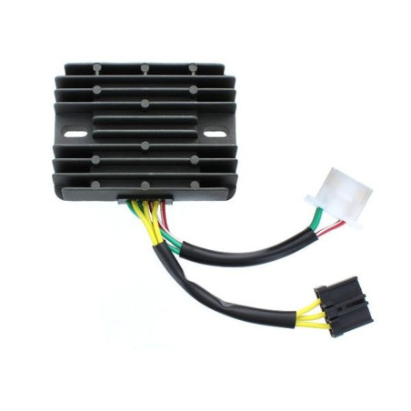 Regulador ELECTROSPORT