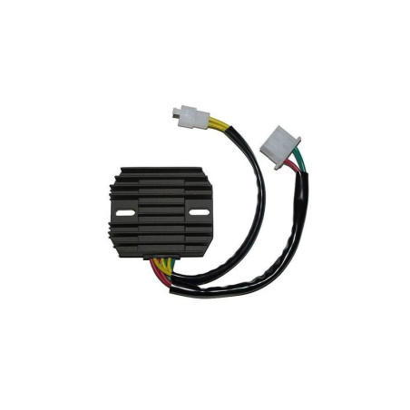 Regulador ELECTROSPORT