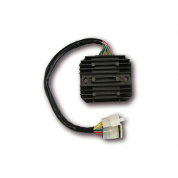 Regulador ELECTROSPORT