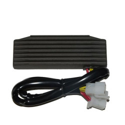 Regulador ELECTROSPORT