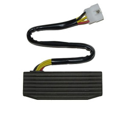 Regulador ELECTROSPORT