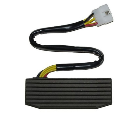 Regulador ELECTROSPORT