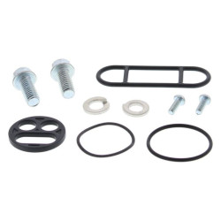 Kit reparación grifo de gasolina ALL BALLS