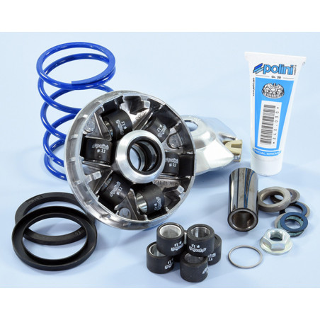 Variador Polini Hi-Speed EVO Piaggio D16-12,5º 241.748