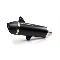 Silenciador MALOSSI RX 2