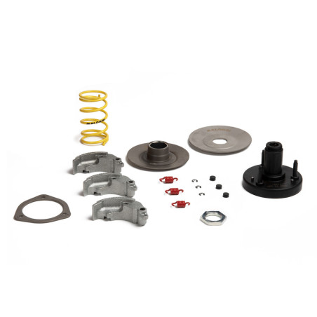 Kit de embrague MALOSSI