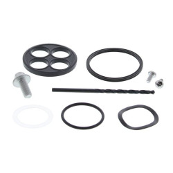 Kit reparación grifo de gasolina ALL BALLS