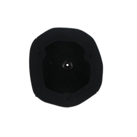 Filtro de aire ignífugo prelubricado TWIN AIR para kit Powerflow