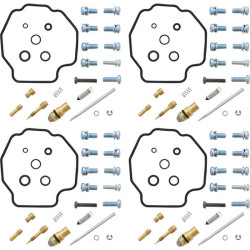 Kit reparación de carburador ALL BALLS 2
