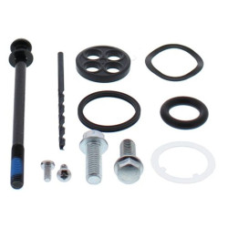 Kit reparación grifo de gasolina ALL BALLS