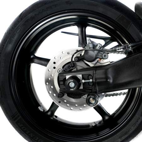 Protectores de basculante R&G RACING