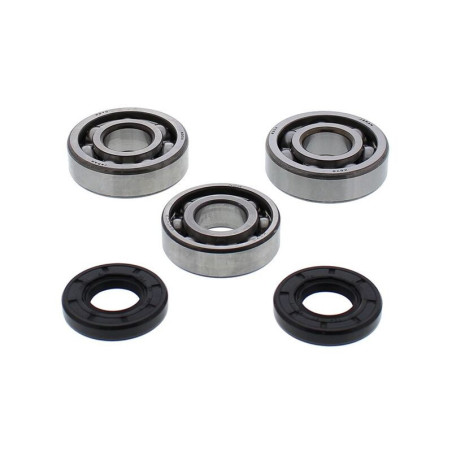 Kit de rodamientos y retenes de cigüeñal ALL BALLS