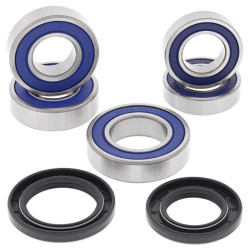 Kit de rodamientos de rueda ALL BALLS