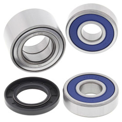 Kit de rodamientos de rueda ALL BALLS