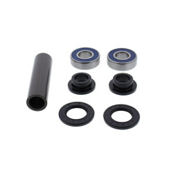 Kit de rodamientos de rueda ALL BALLS