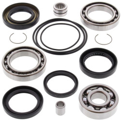 Kit rodamientos y retenes de diferencial trasero ALL BALLS