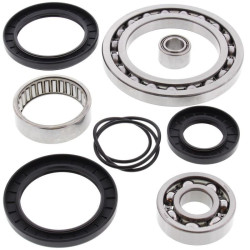 Kit rodamientos y retenes de diferencial trasero ALL BALLS