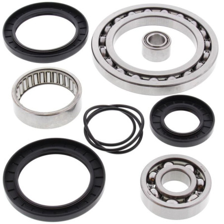 Kit rodamientos y retenes de diferencial trasero ALL BALLS